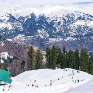 Shimla